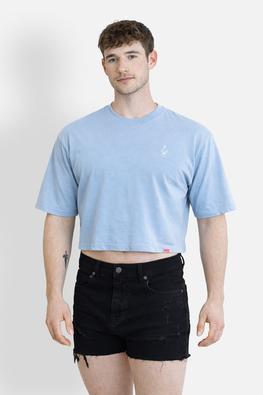 Oversized Relaxed Crop Top - Baby Blue